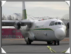 Just Planes 系列视频 ---- 林登航空货运 - L-382G-8711 