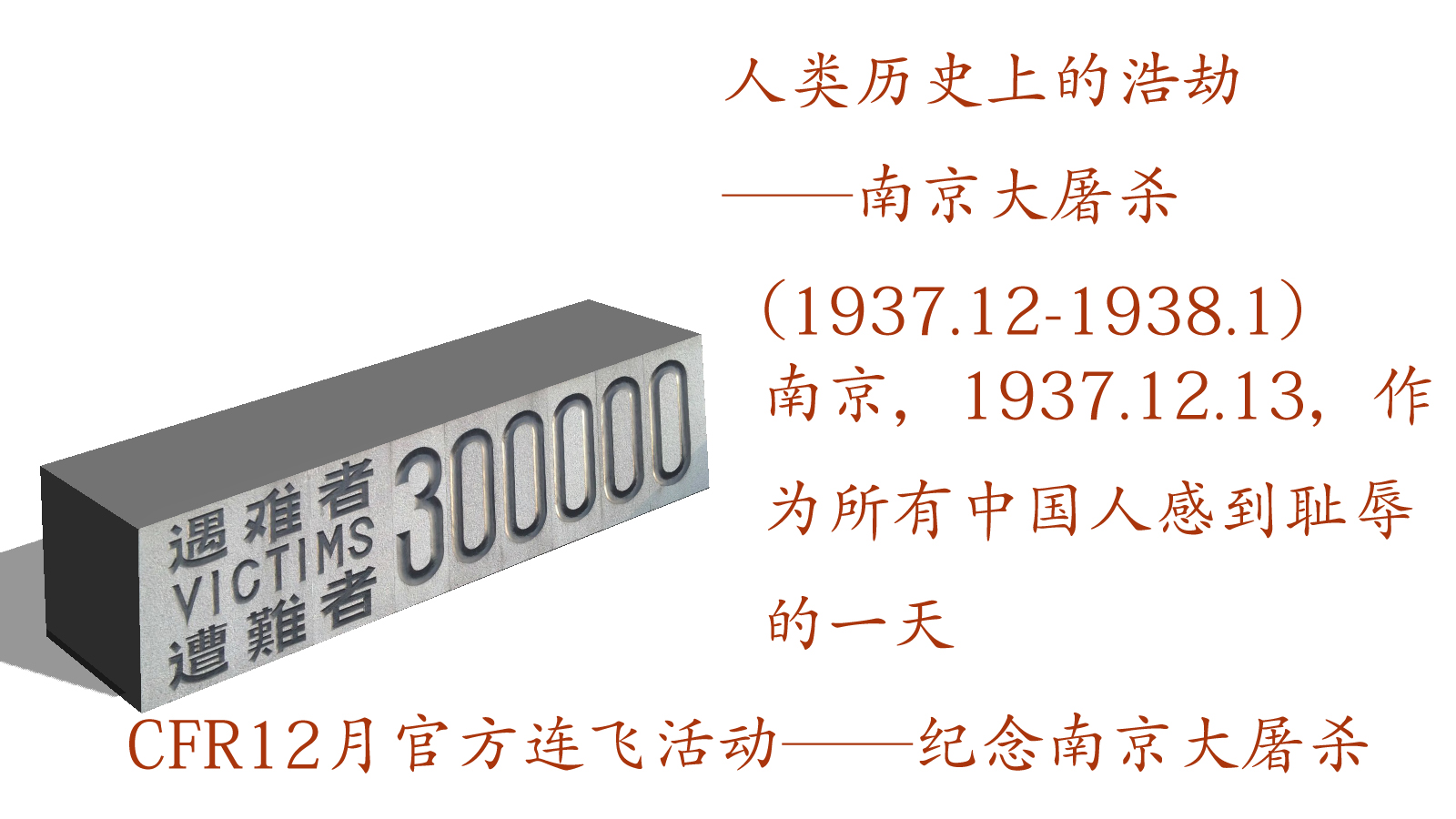 勿忘国耻，振兴中华----纪念南京大屠杀78周年主题活动-2228 