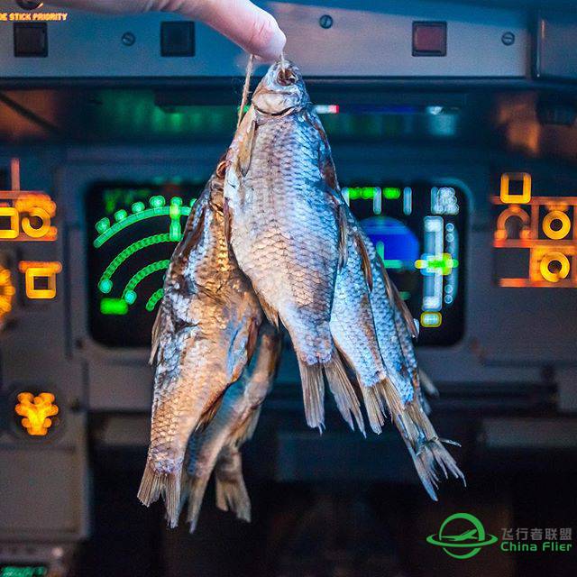 每日一图-4278 