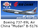 国航牡丹涂装集合-6457 