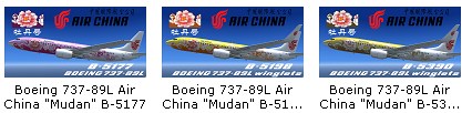 国航牡丹涂装集合-3661 