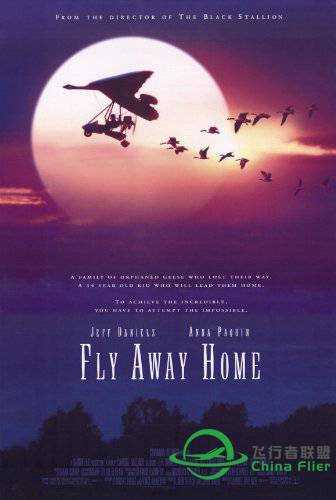 最美飞行电影 Fly Away Home/伴你高飞，自制飞机-2698 