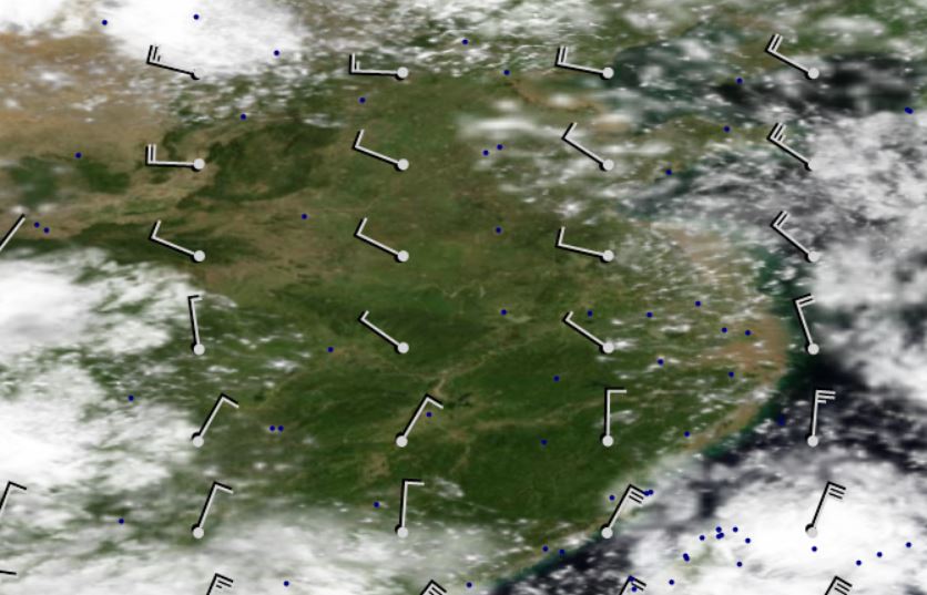 新手请教天气图的风向风速图示该怎么看?-5444 