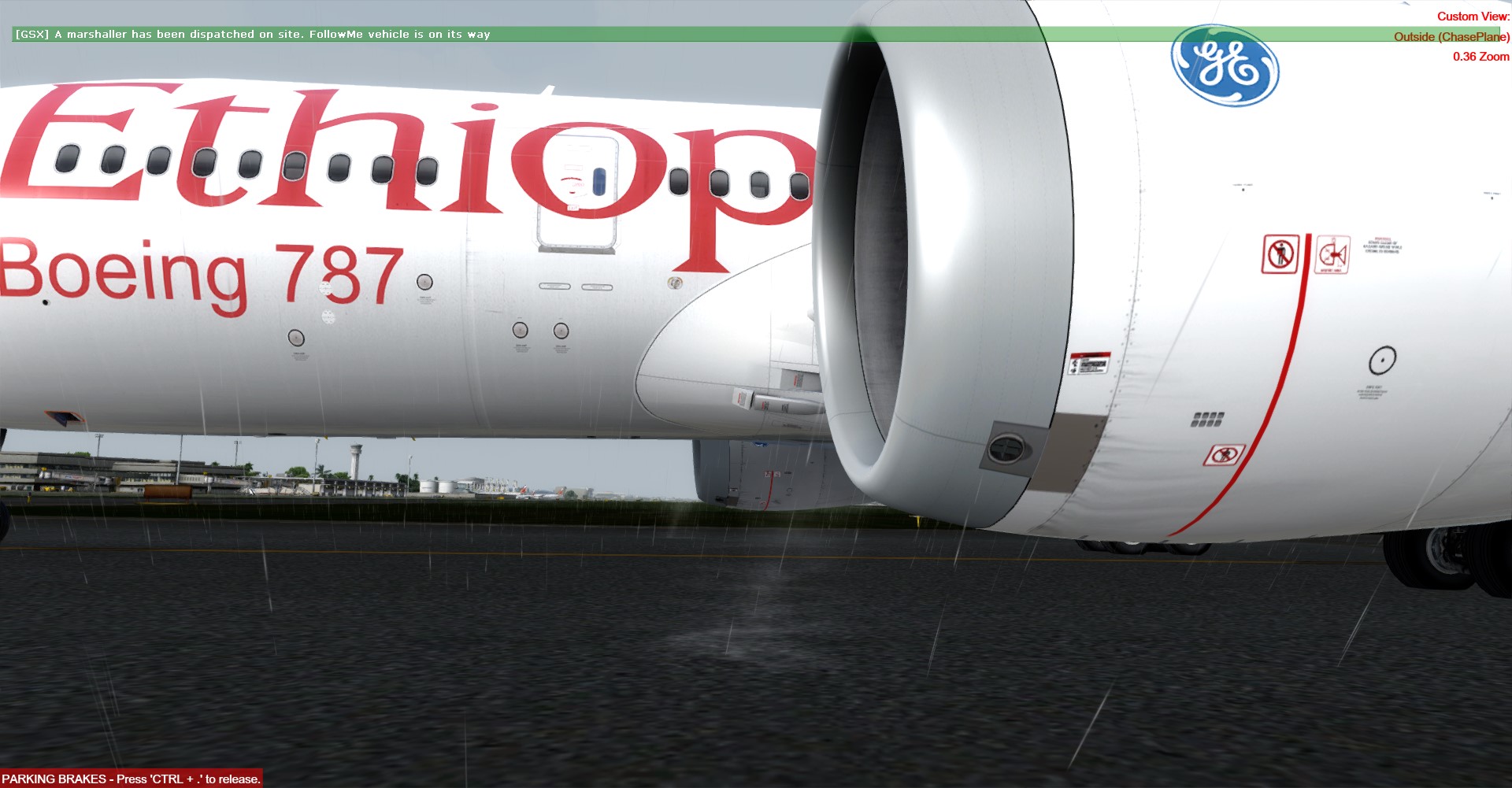 Ethiopian-2856 