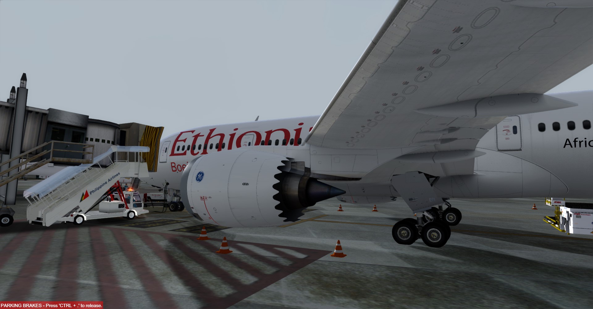Ethiopian-3374 