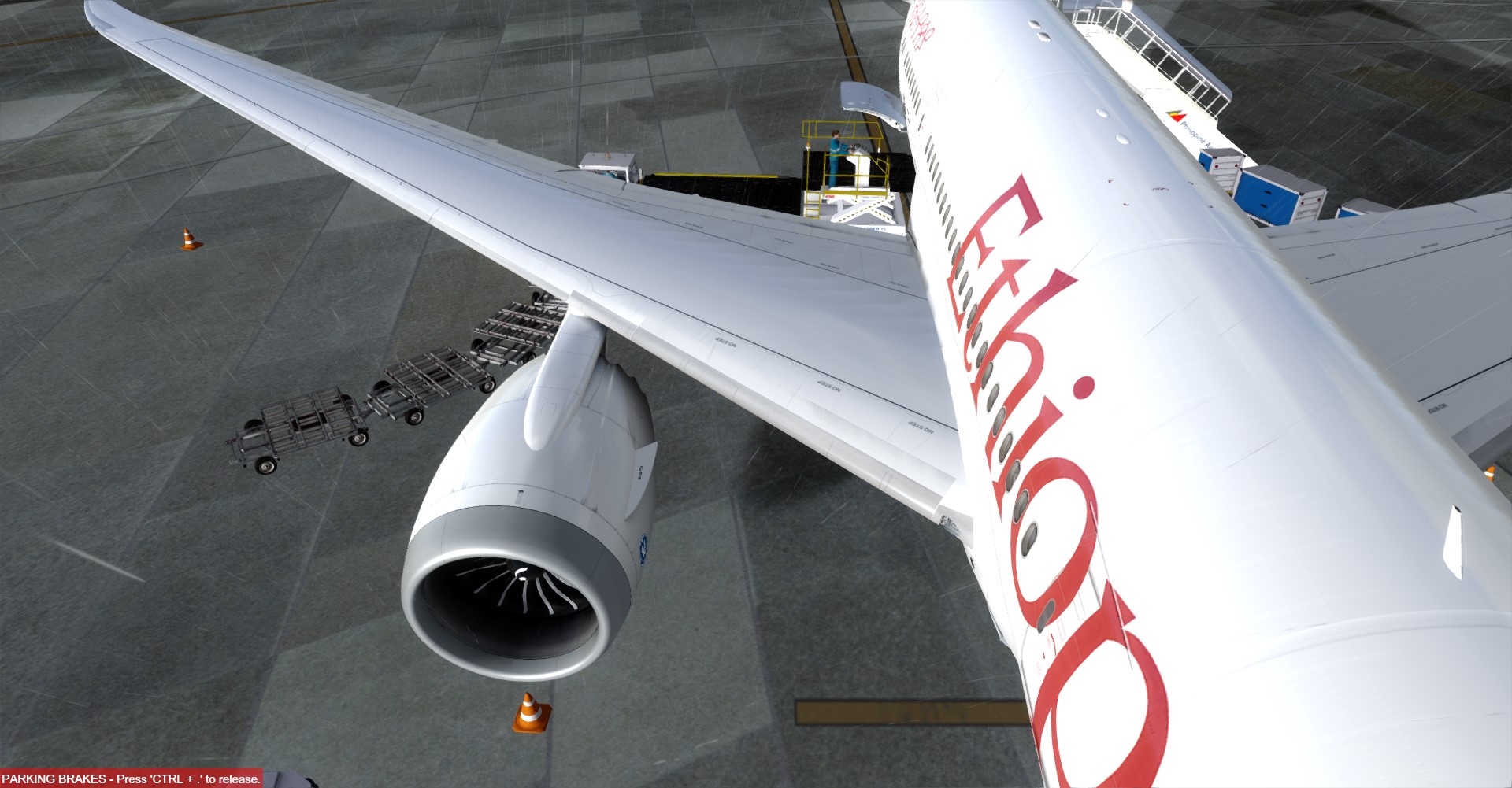 Ethiopian-7547 