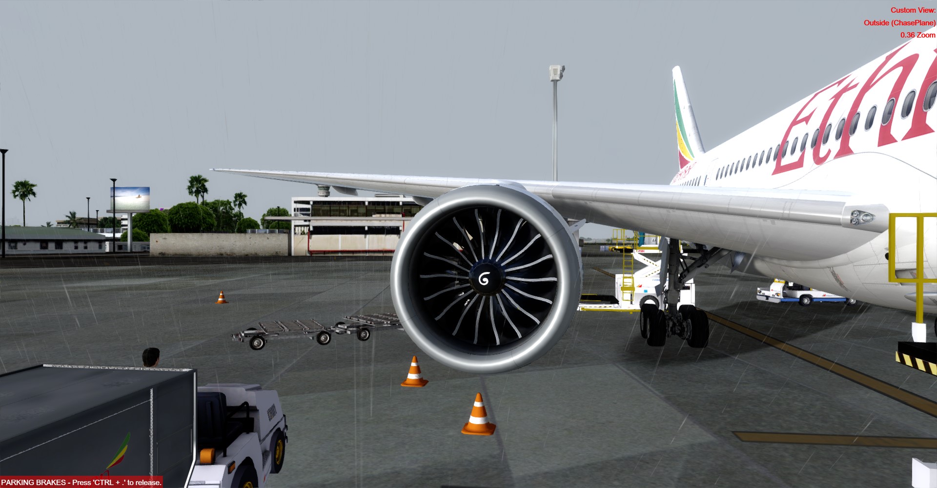 Ethiopian-8672 