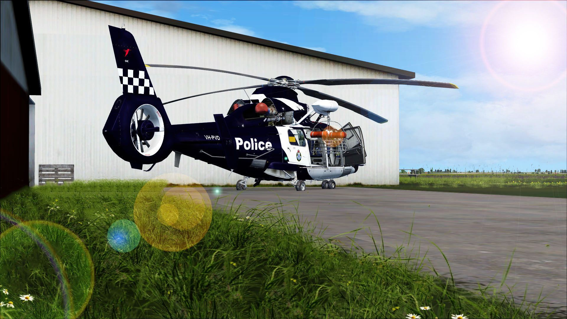 FSX 停机坪中的茂密小草-7382 