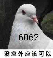 紧跟时事(-7761 