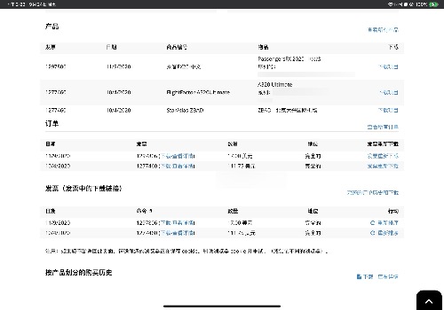 FFa320正版机模跟中文舱内语音包等打包出了-6021 