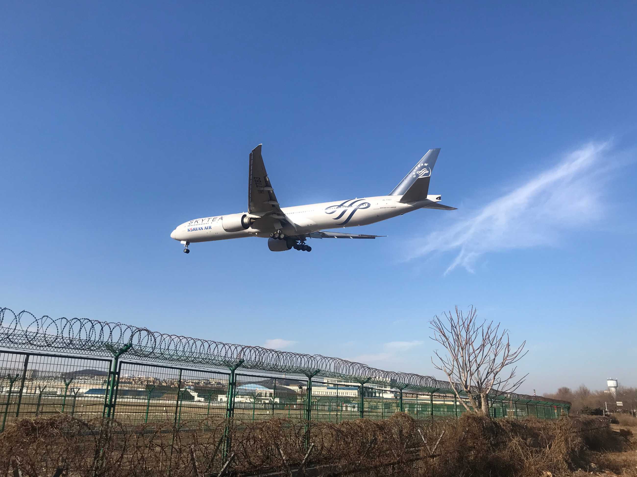 大连周水子 大韩航空77w-4260 