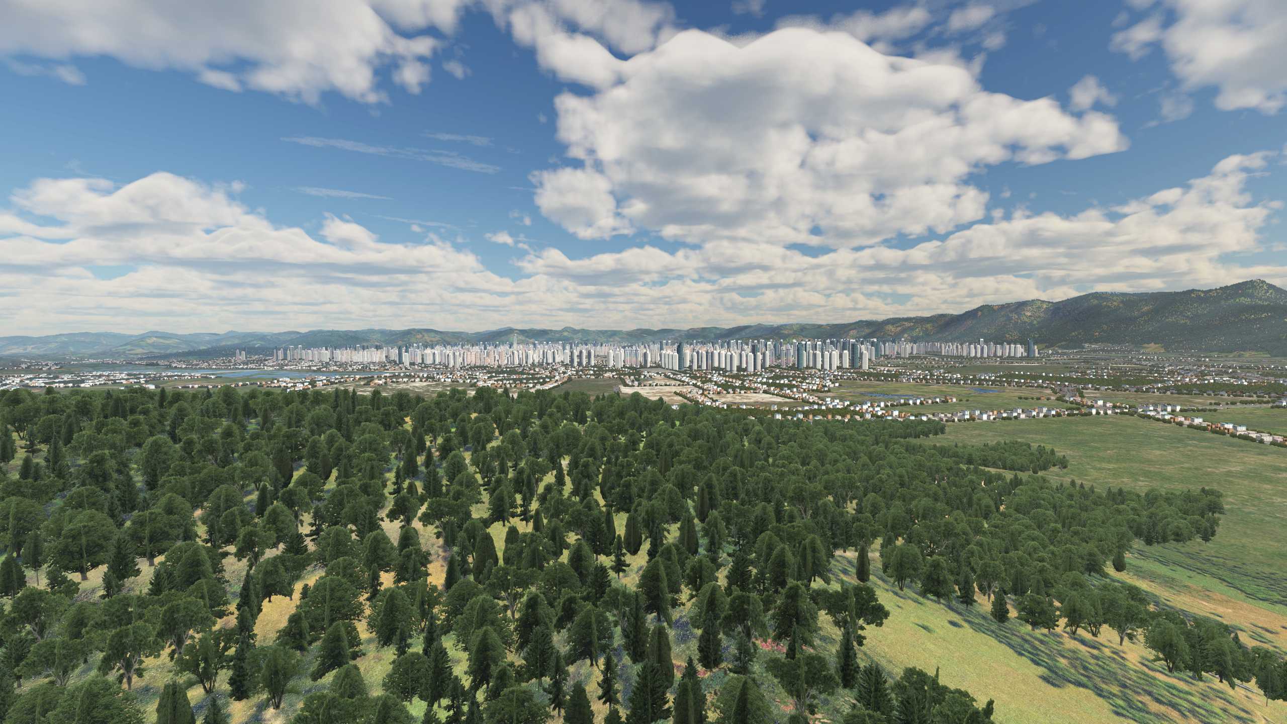 XP11 城市地景-----福州效果-222 