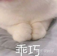 最全招飞流程/怎样成为一名飞行员?-9113 