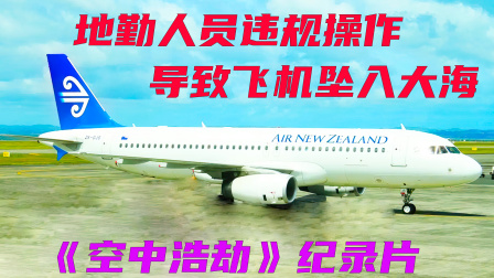 空客A320突然失控坠海，事故原因让人不可思议，空中浩劫-3763 