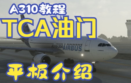 微软飞行模拟2020 空客A310 初体验与快速上手教程 | 空客A310 快速入门教程-9299 