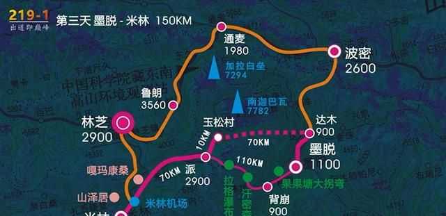 仙人指路-3419 