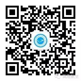 一名失败飞行员的表现:试图用高超技术控制一架飞机-1379 