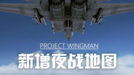 【QPC】皇牌空战还在摸? 僚机计划新增夜战地图, 又双叒叕更新了! 【Project Wingman】-3402 