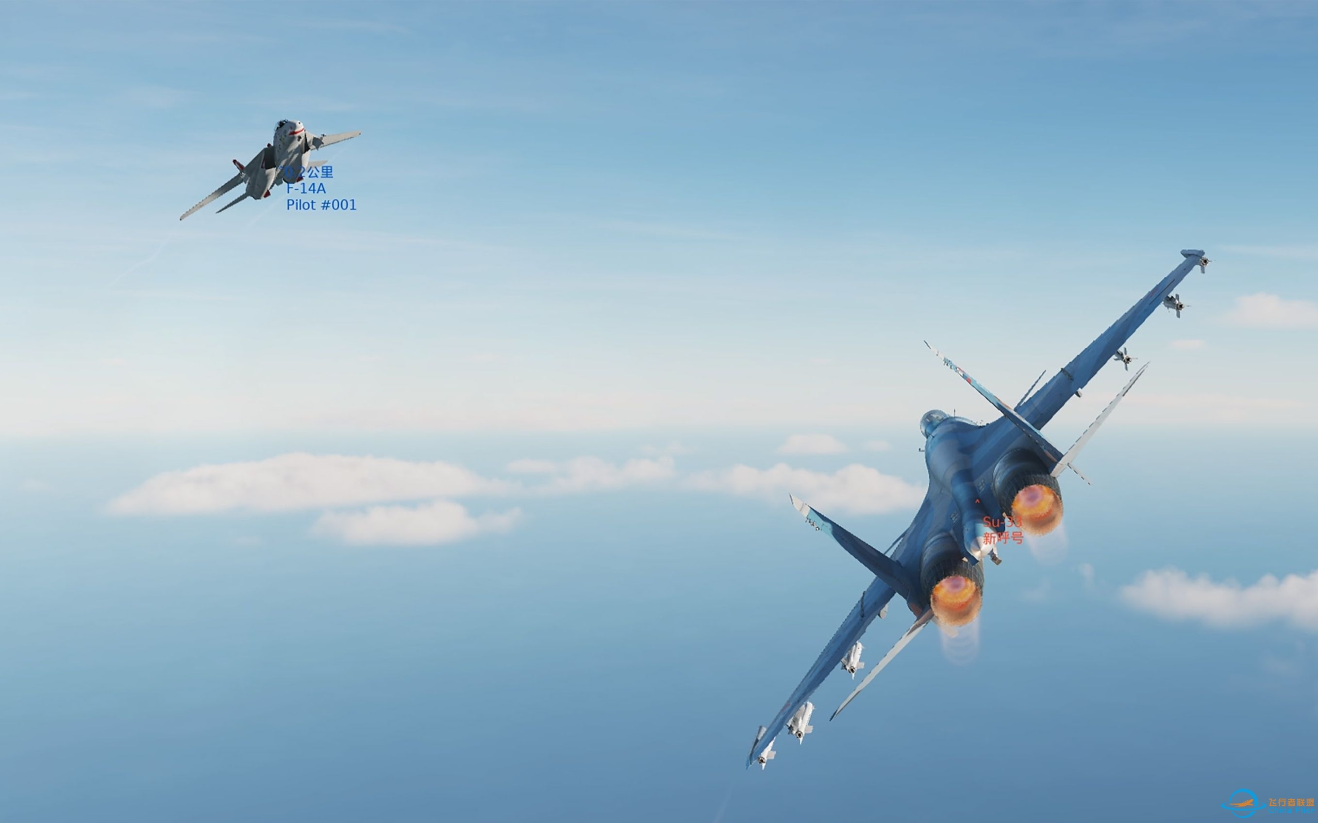 【DCS】这样的狗斗练习真刺激-7031 
