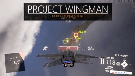 【QPC】僚机计划-炫酷空战-0.3.3更新【Project Wingman】【精品游戏推荐】-9762 