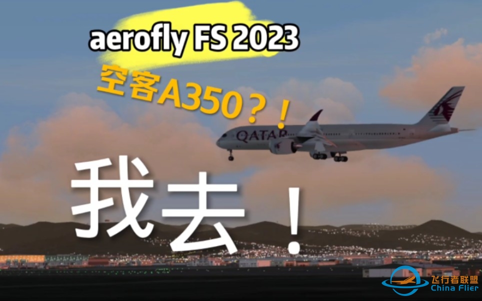aerofly FS｜我测 350！-9191 