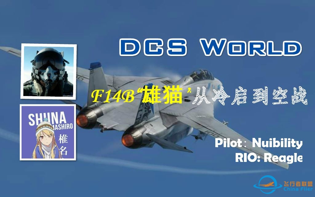 【DCS World】F-14B“雄猫”双人基础教学——从冷启动到空战-3629 