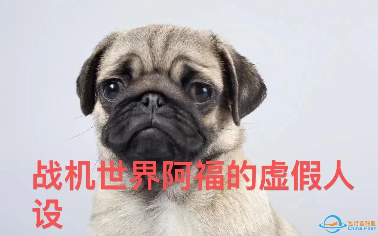 战机世界阿福的虚假人设披露，UP强烈建议大家观看，低素质没文化，怂恿他人TK队友，自己没什么技术就是嘴臭，黑心代练-5165 