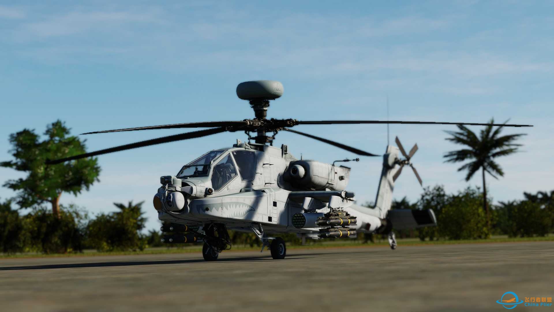 AH-64D长弓啪啪奇-6751 