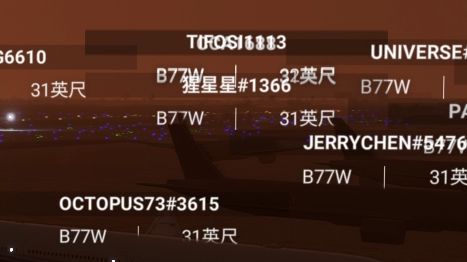 pmdg777发布的第二天，浦东机场已被77W占领-9592 