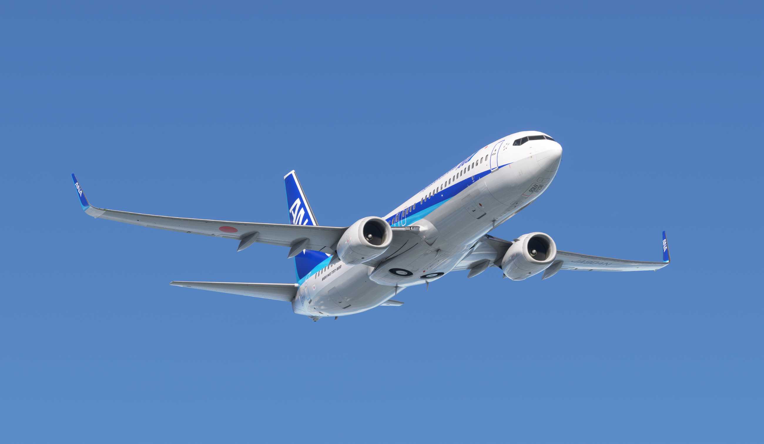 【MSFS】737-800 RJOO-RJFF-2635 