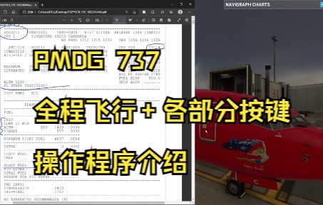 微软飞行模拟2020 PMDG 高阶版教程（全）-592 