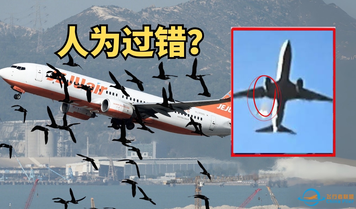 到底是不是飞行员的失误？济州航空2216空难分析...-2191 