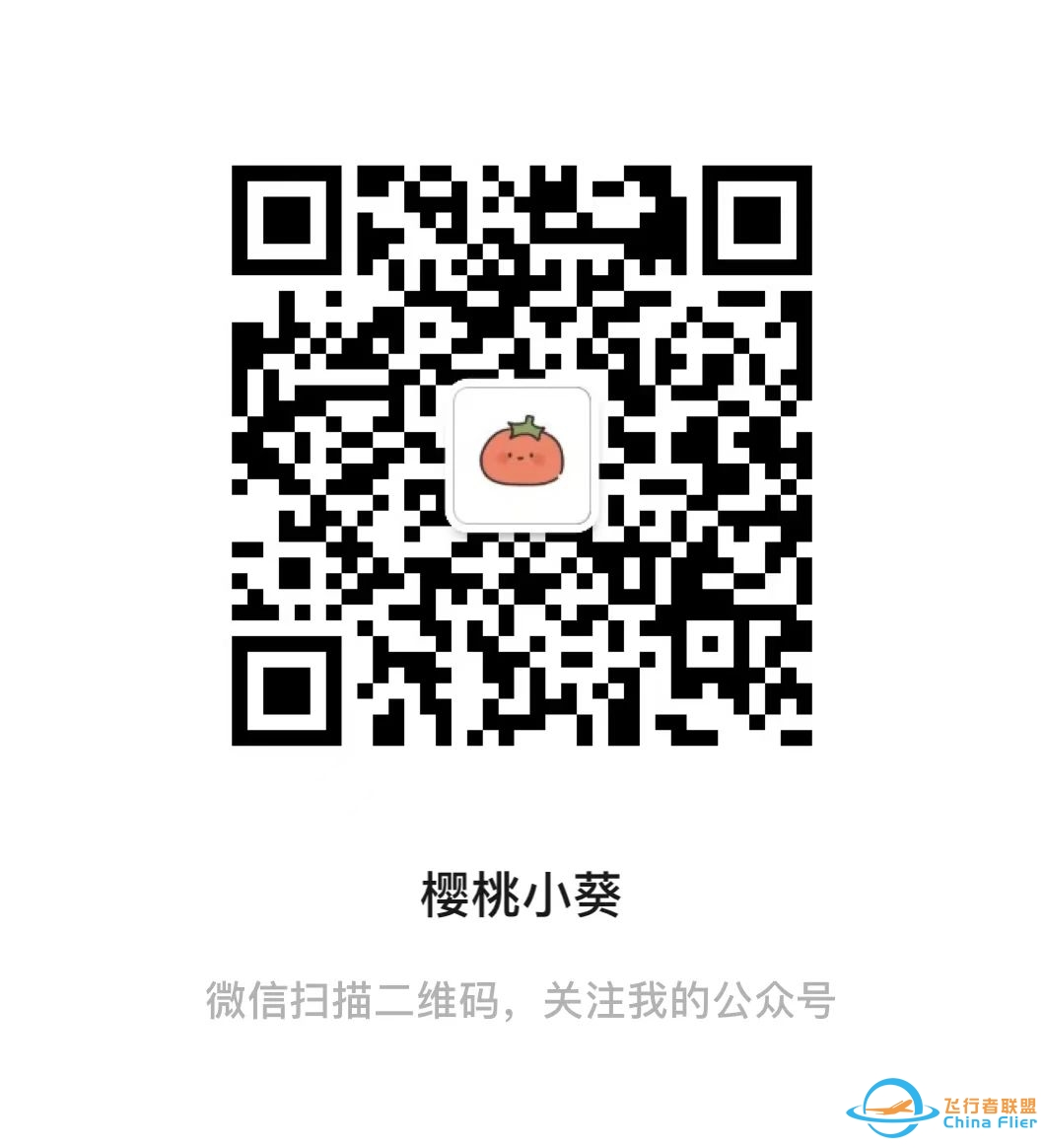 rfspro全飞机破解版(附攻略)-5978 